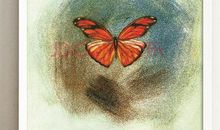 保护动物的谚语