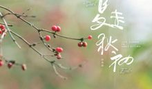 形容夏末初秋的诗句