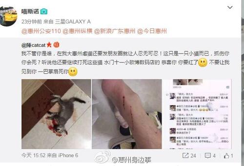 将您丈夫的严厉句子发送给Moments