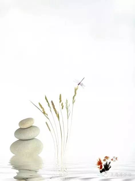 禅宗人生句子