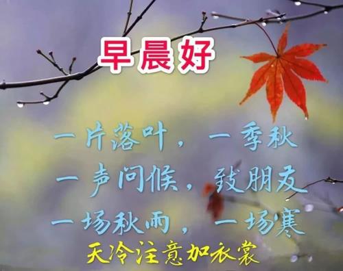 朋友时刻