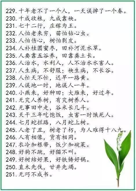 关于生活哲学的谚语