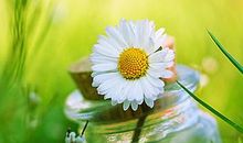 每个人都是平凡中的天使,胜利就要来了