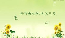 可笑不自量歇后语