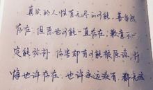 柴静看见经典语录