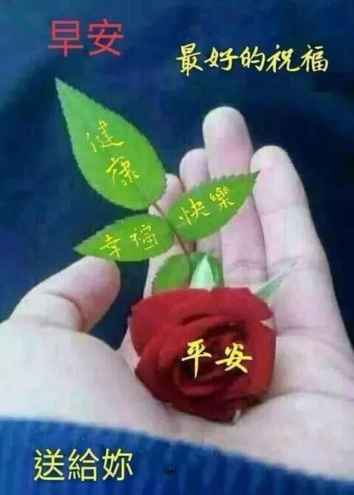 星期三的祝福