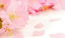 浪漫祝福语大全