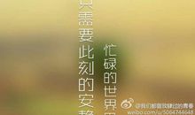 关于不相信的句子