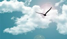 关于景色方面的谚语