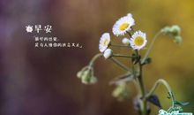 周一客户问候短信真诚简短