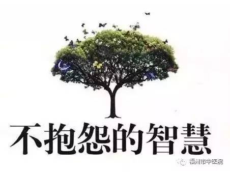 关于不抱怨的句子