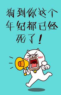 长时间单身的经典报价