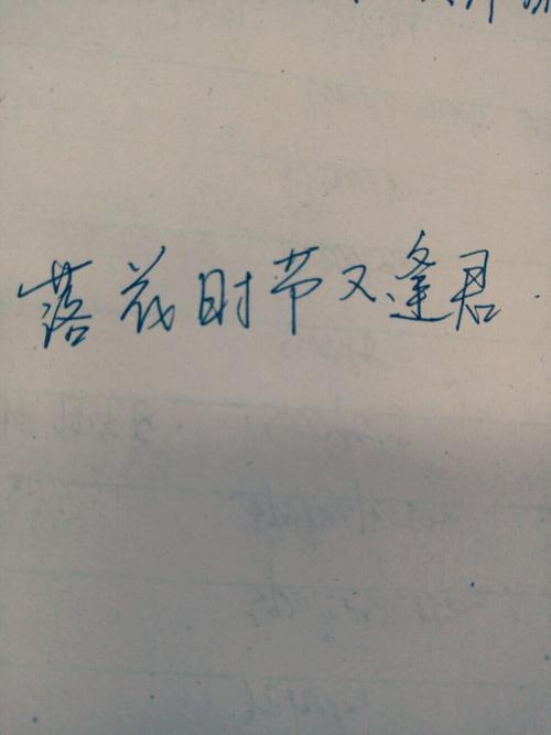 文学迷的爱情句子