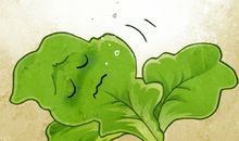 有关食物的谚语