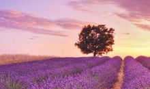 抖音非主流句子