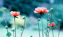 描写人生感悟的句子，对人生感悟的句子