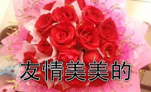 世界姐妹日祝福