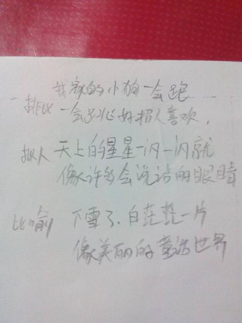 12个字符