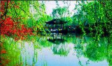 描写凄凉景色的段落