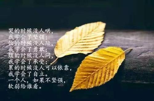 朋友的好句子