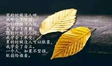 朋友圈发的好句子