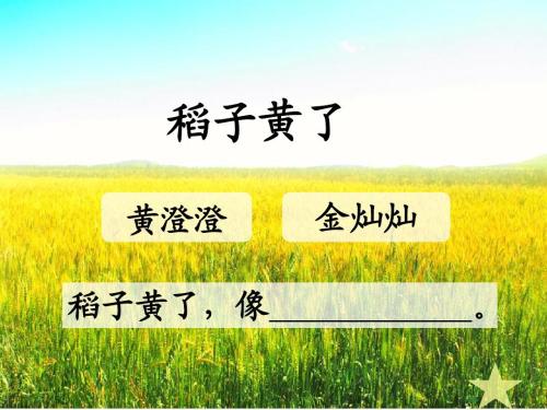 高粱