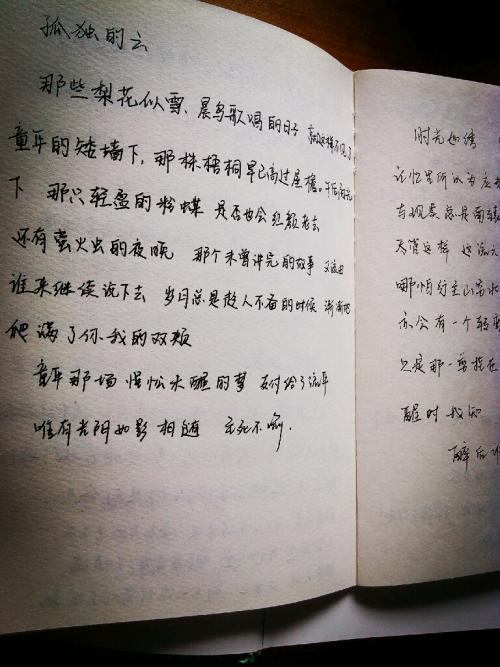 乌龟的寓言