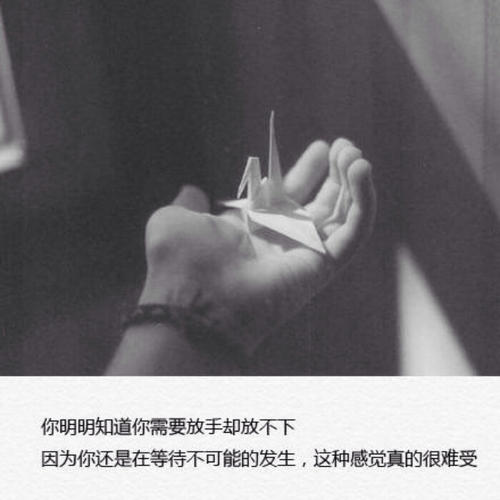 分手后的行情
