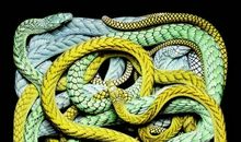 马蜂过河歇后语