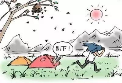 大黄蜂st秃过敏