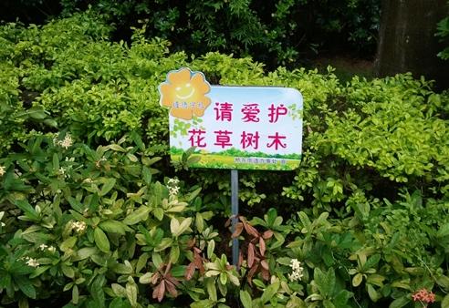 关于保护树木的英语谚语
