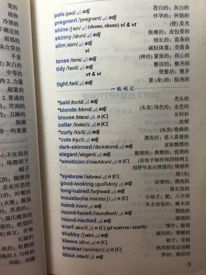 很好地描述了女孩的外表
