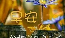清晨的祝福语
