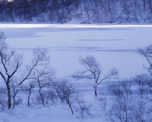 冬雪句