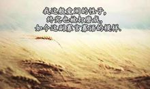 2019年社会经典语录