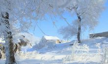 冬天描写冷的句子