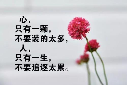 朋友圈中的早晨