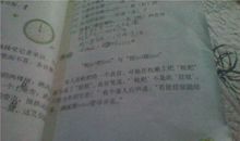 小学2年级的歇后语