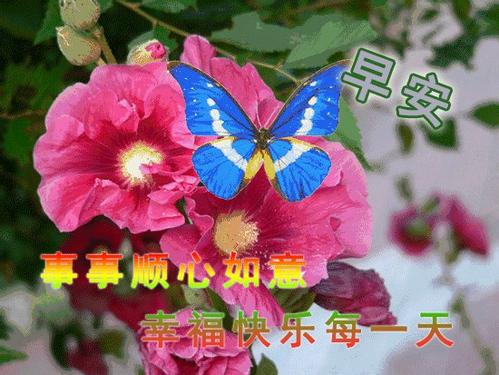 星期四的祝福