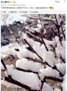 关于玩雪的句子