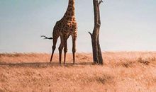 2019最精辟最火的句子