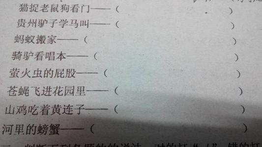 猫的寓言