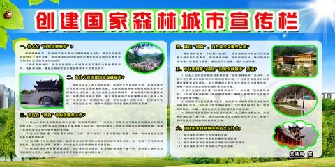 学校创意口号