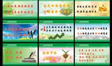 公司晨会口号大全