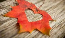 2017人生感悟的句子,感悟人生2017年最新句子