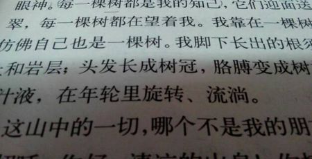 后悔平行句