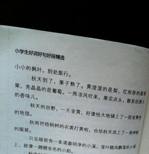 抱歉的句子