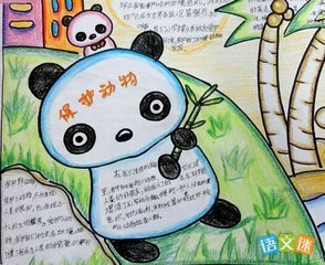 关于保护森林的谚语
