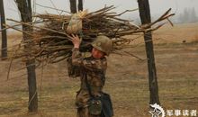 放羊的拾柴火歇后语