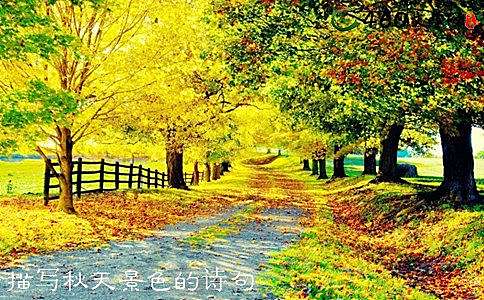 描写秋天之美的诗